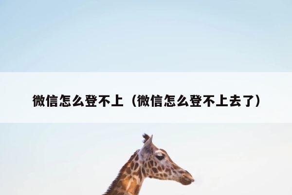 微信怎么登不上（微信怎么登不上去了） 第1张