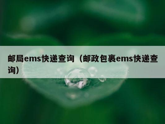 邮局ems快递查询（邮政包裹ems快递查询） 第1张