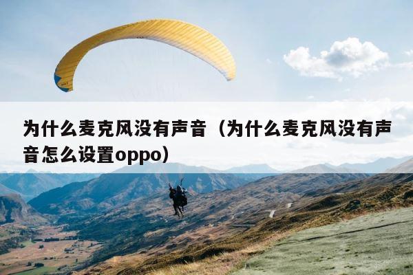 为什么麦克风没有声音（为什么麦克风没有声音怎么设置oppo） 第1张