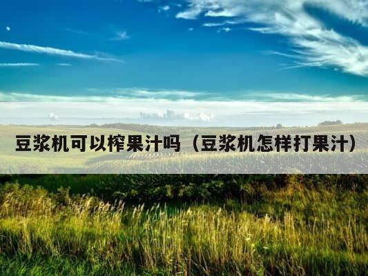 豆浆机可以榨果汁吗（豆浆机怎样打果汁） 第1张