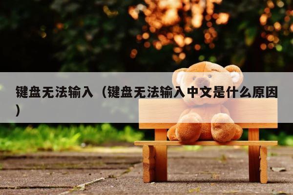 键盘无法输入（键盘无法输入中文是什么原因） 第1张