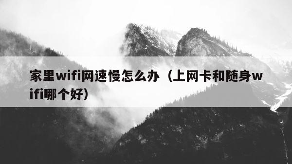 家里wifi网速慢怎么办（上网卡和随身wifi哪个好） 第1张
