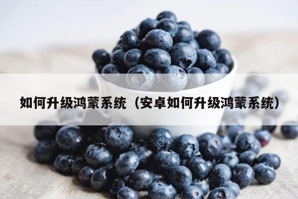 如何升级鸿蒙系统（安卓如何升级鸿蒙系统） 第1张