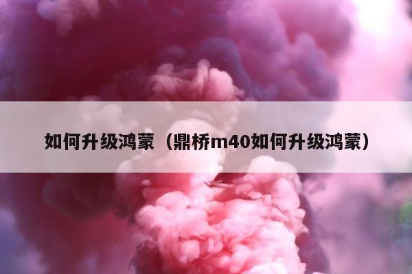 如何升级鸿蒙（鼎桥m40如何升级鸿蒙） 第1张