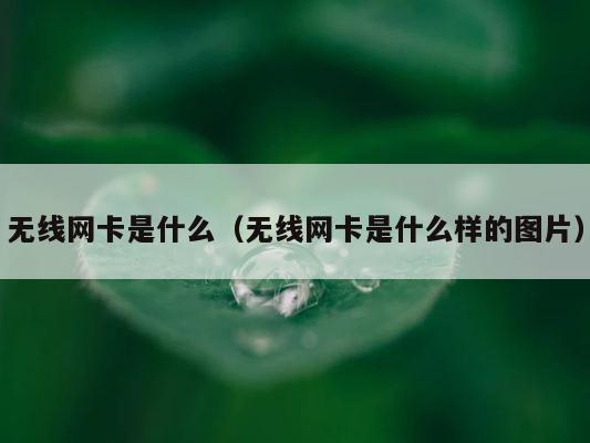无线网卡是什么（无线网卡是什么样的图片） 第1张