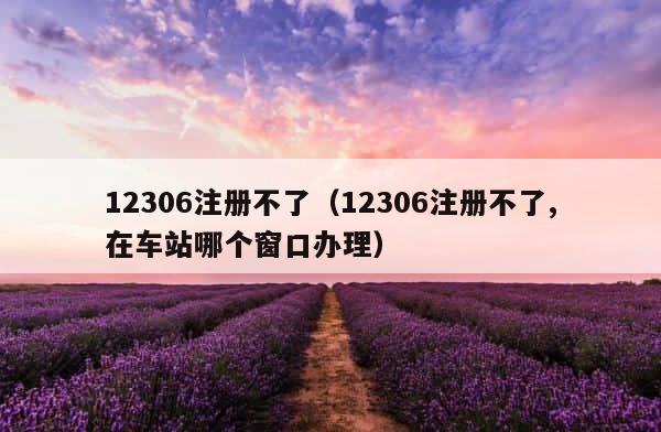12306注册不了（12306注册不了,在车站哪个窗口办理） 第1张