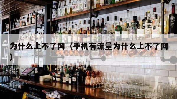 为什么上不了网（手机有流量为什么上不了网） 第1张