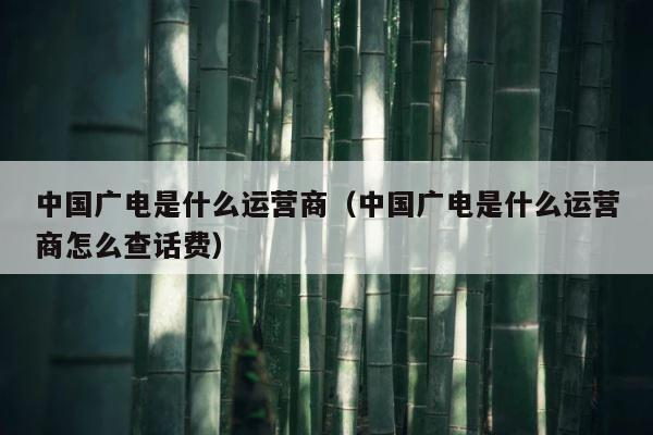 中国广电是什么运营商（中国广电是什么运营商怎么查话费） 第1张
