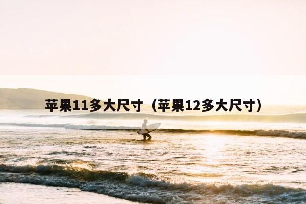 苹果11多大尺寸（苹果12多大尺寸） 第1张