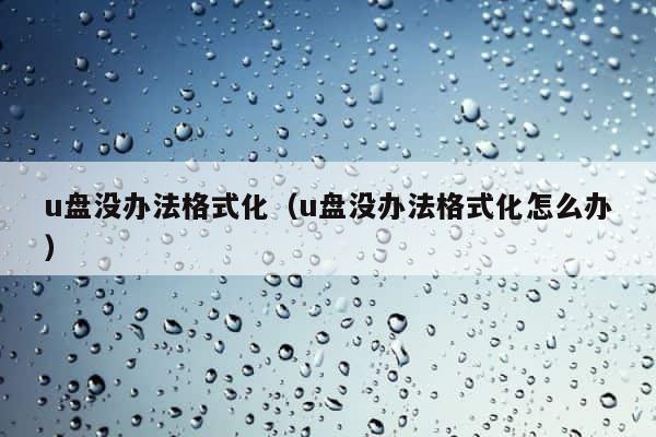 u盘没办法格式化（u盘没办法格式化怎么办） 第1张