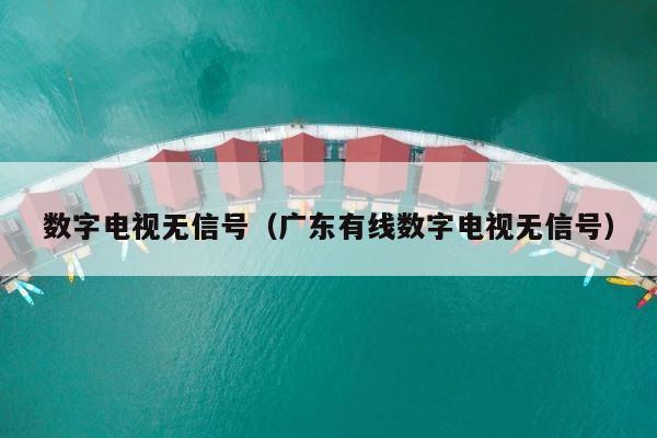 数字电视无信号（广东有线数字电视无信号） 第1张