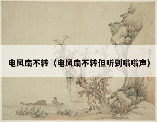 电风扇不转（电风扇不转但听到嗡嗡声） 第1张