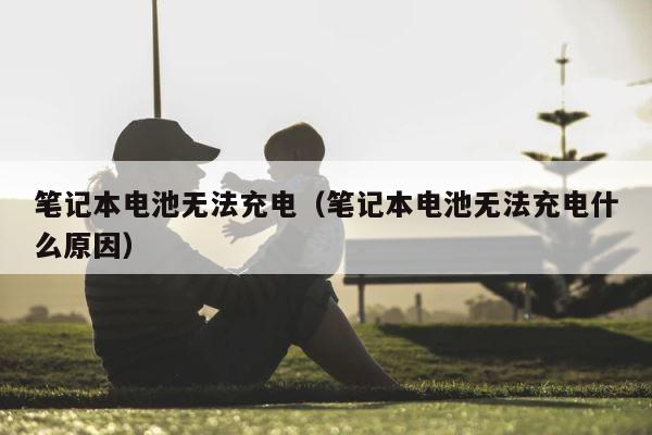 笔记本电池无法充电（笔记本电池无法充电什么原因） 第1张