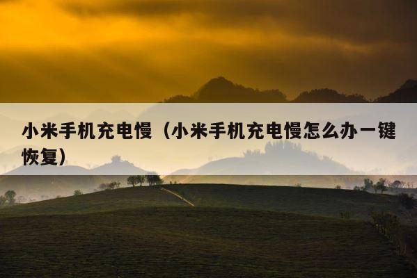 小米手机充电慢（小米手机充电慢怎么办一键恢复） 第1张