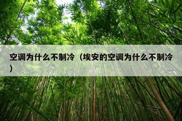 空调为什么不制冷（埃安的空调为什么不制冷） 第1张