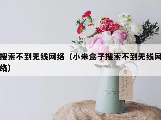 搜索不到无线网络（小米盒子搜索不到无线网络） 第1张