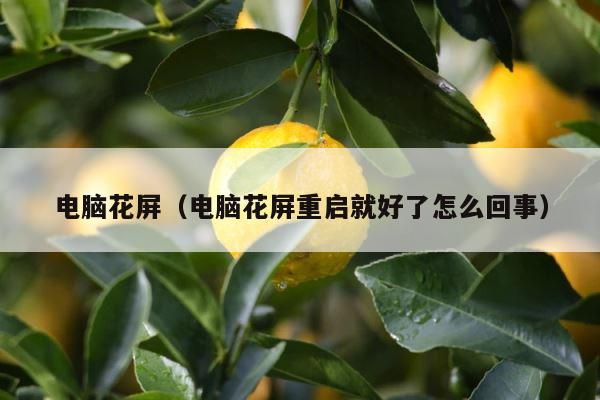 电脑花屏（电脑花屏重启就好了怎么回事） 第1张