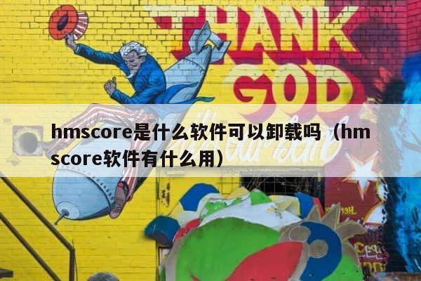 hmscore是什么软件可以卸载吗（hmscore软件有什么用） 第1张