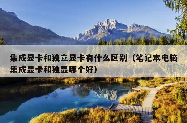 集成显卡和独立显卡有什么区别（笔记本电脑集成显卡和独显哪个好） 第1张