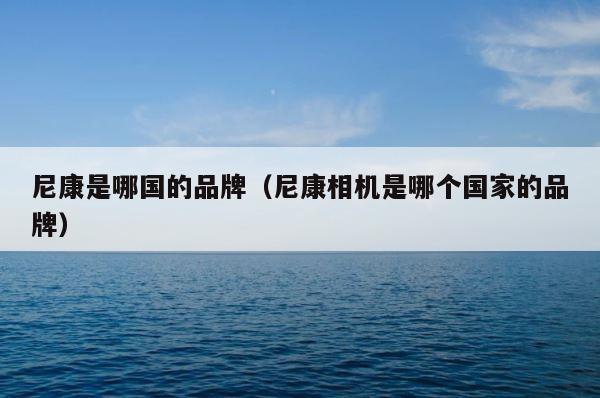 尼康是哪国的品牌（尼康相机是哪个国家的品牌） 第1张