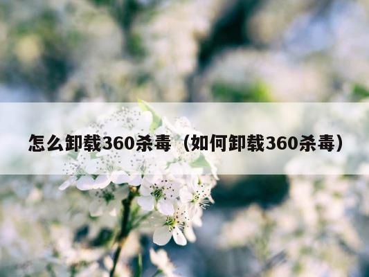 怎么卸载360杀毒（如何卸载360杀毒） 第1张