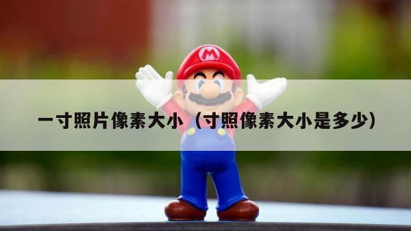 一寸照片像素大小（寸照像素大小是多少） 第1张