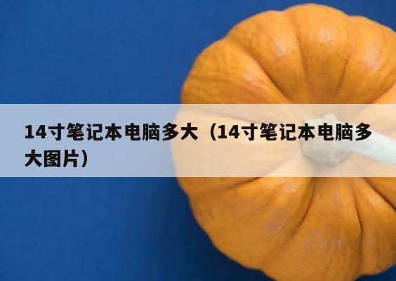 14寸笔记本电脑多大（14寸笔记本电脑多大图片） 第1张