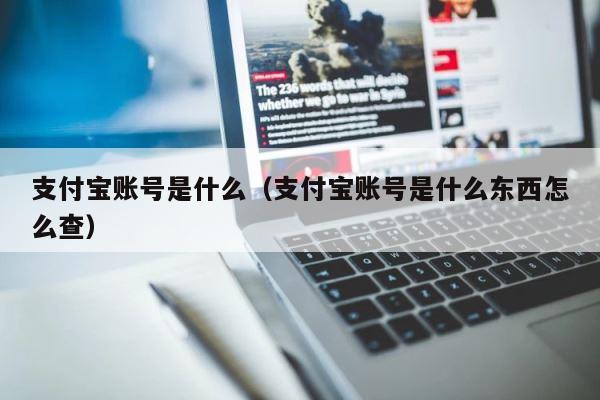 支付宝账号是什么（支付宝账号是什么东西怎么查） 第1张