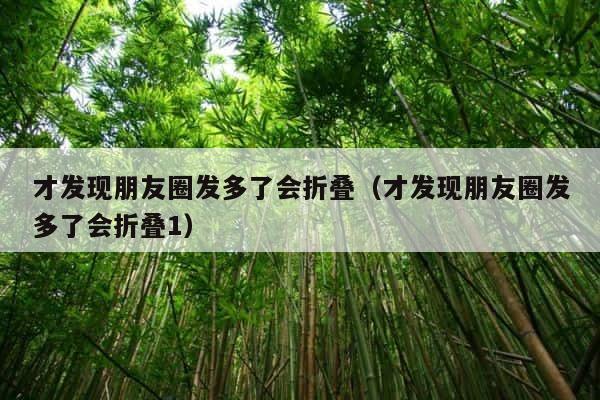 才发现朋友圈发多了会折叠（才发现朋友圈发多了会折叠1） 第1张
