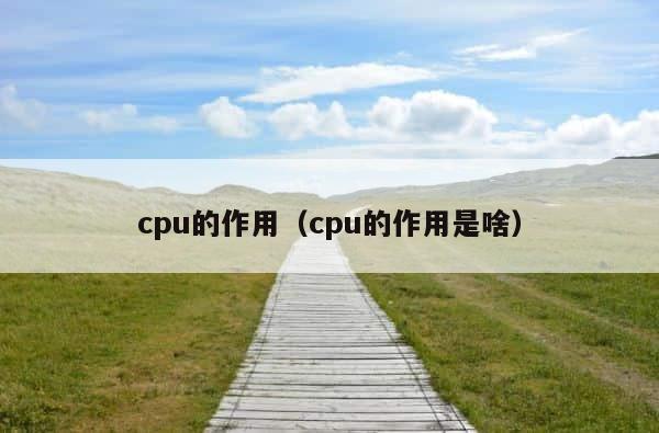 cpu的作用（cpu的作用是啥） 第1张