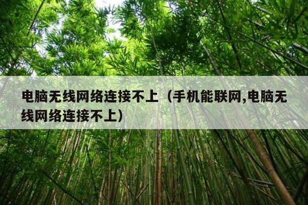 电脑无线网络连接不上（手机能联网,电脑无线网络连接不上） 第1张