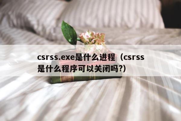 csrss.exe是什么进程（csrss是什么程序可以关闭吗?） 第1张