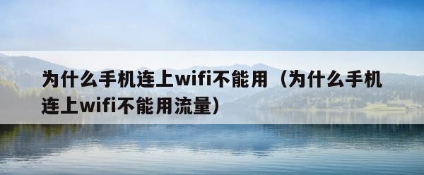 为什么手机连上wifi不能用（为什么手机连上wifi不能用流量） 第1张