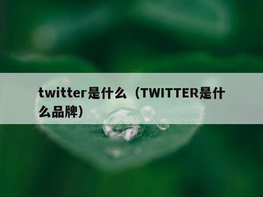 twitter是什么（TWITTER是什么品牌） 第1张