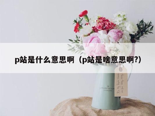 p站是什么意思啊（p站是啥意思啊?） 第1张