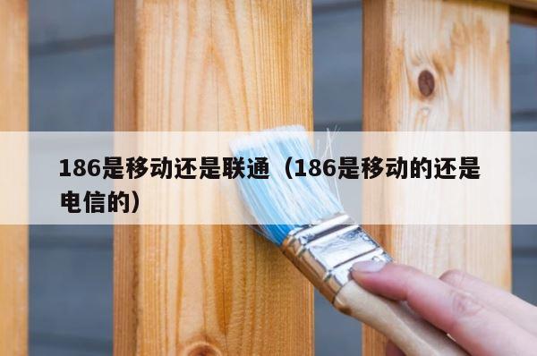 186是移动还是联通（186是移动的还是电信的） 第1张
