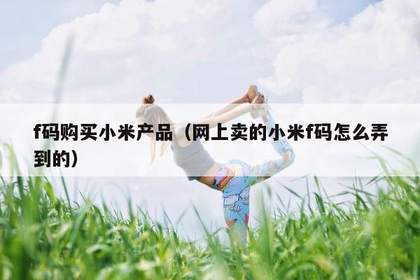 f码购买小米产品（网上卖的小米f码怎么弄到的） 第1张