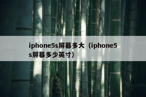 iphone5s屏幕多大（iphone5s屏幕多少英寸） 第1张