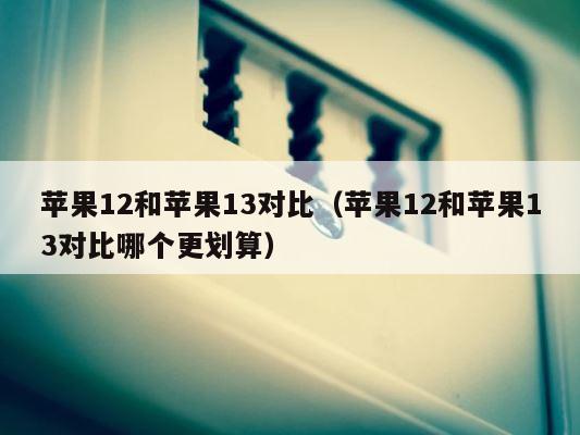 苹果12和苹果13对比（苹果12和苹果13对比哪个更划算） 第1张