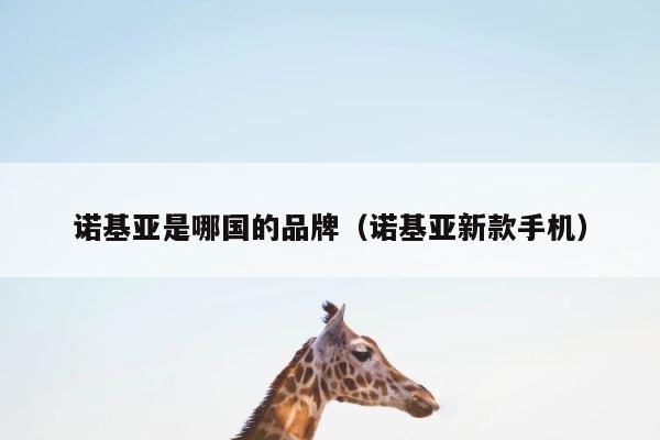 诺基亚是哪国的品牌（诺基亚新款手机） 第1张