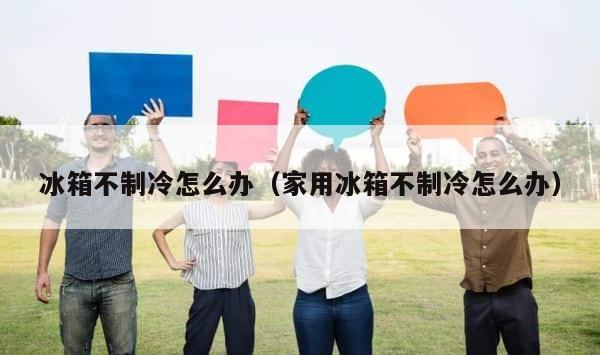 冰箱不制冷怎么办（家用冰箱不制冷怎么办） 第1张