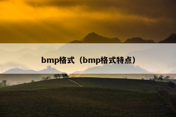 bmp格式（bmp格式特点） 第1张