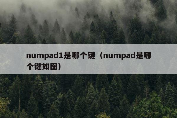 numpad1是哪个键（numpad是哪个键如图） 第1张