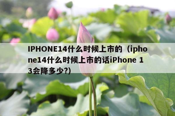 IPHONE14什么时候上市的（iphone14什么时候上市的话iPhone 13会降多少?） 第1张