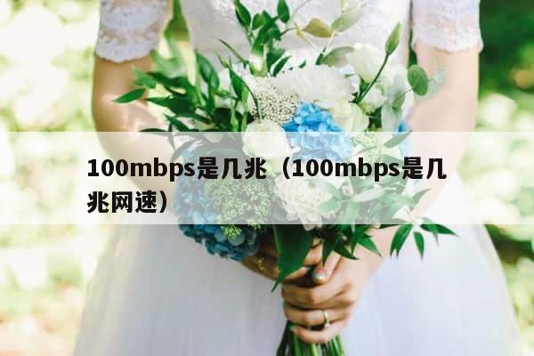 100mbps是几兆（100mbps是几兆网速） 第1张