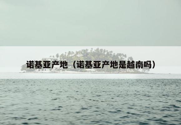 诺基亚产地（诺基亚产地是越南吗） 第1张