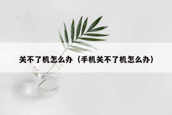 关不了机怎么办（手机关不了机怎么办） 第1张
