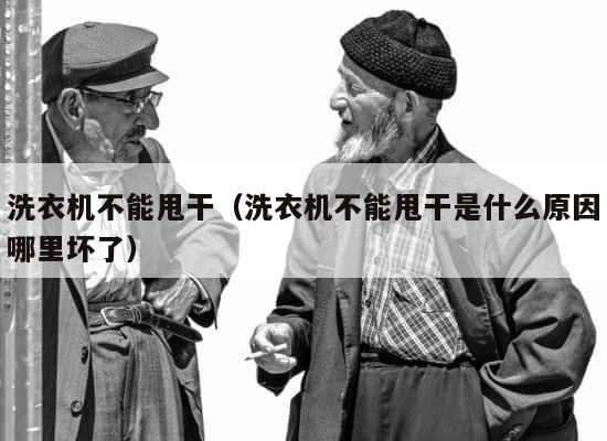 洗衣机不能甩干（洗衣机不能甩干是什么原因哪里坏了） 第1张